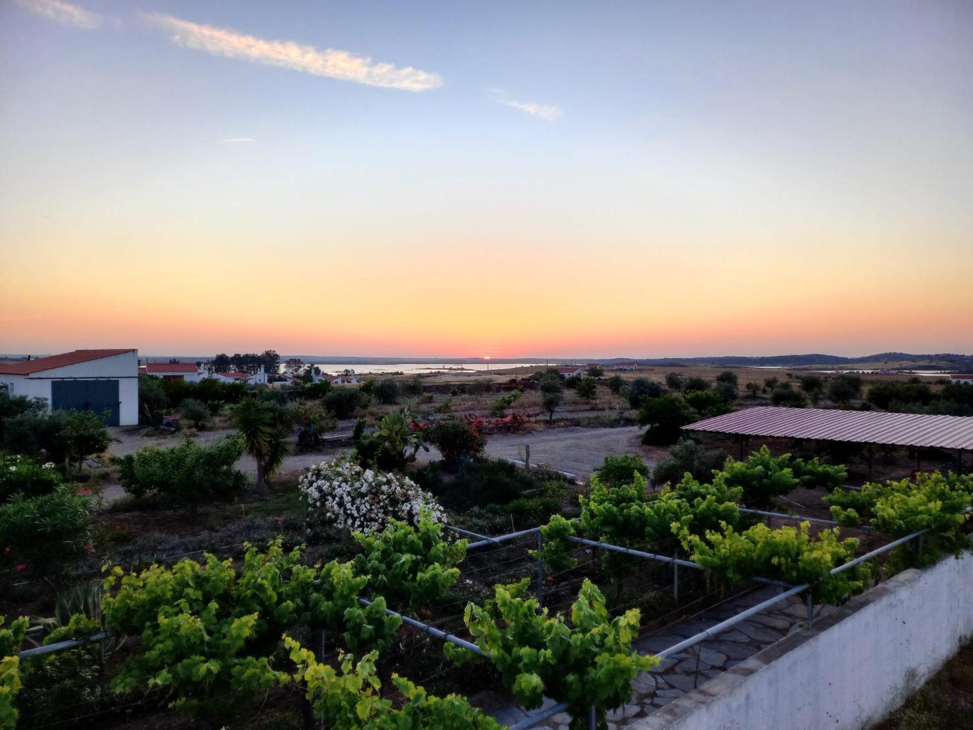 Nao Te Vou Esquecer Aldeia Da Luz! Holiday home *